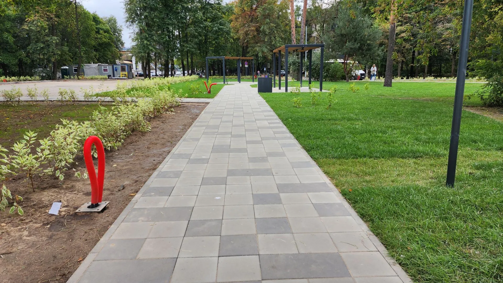 Ирина Моисеева