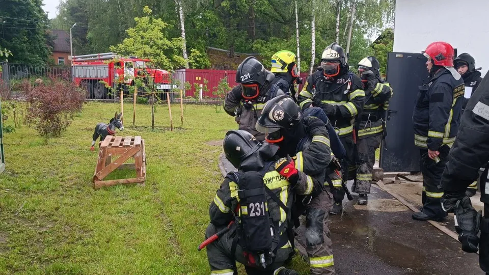 Фото: ГКУ МО «Мособлпожспас»