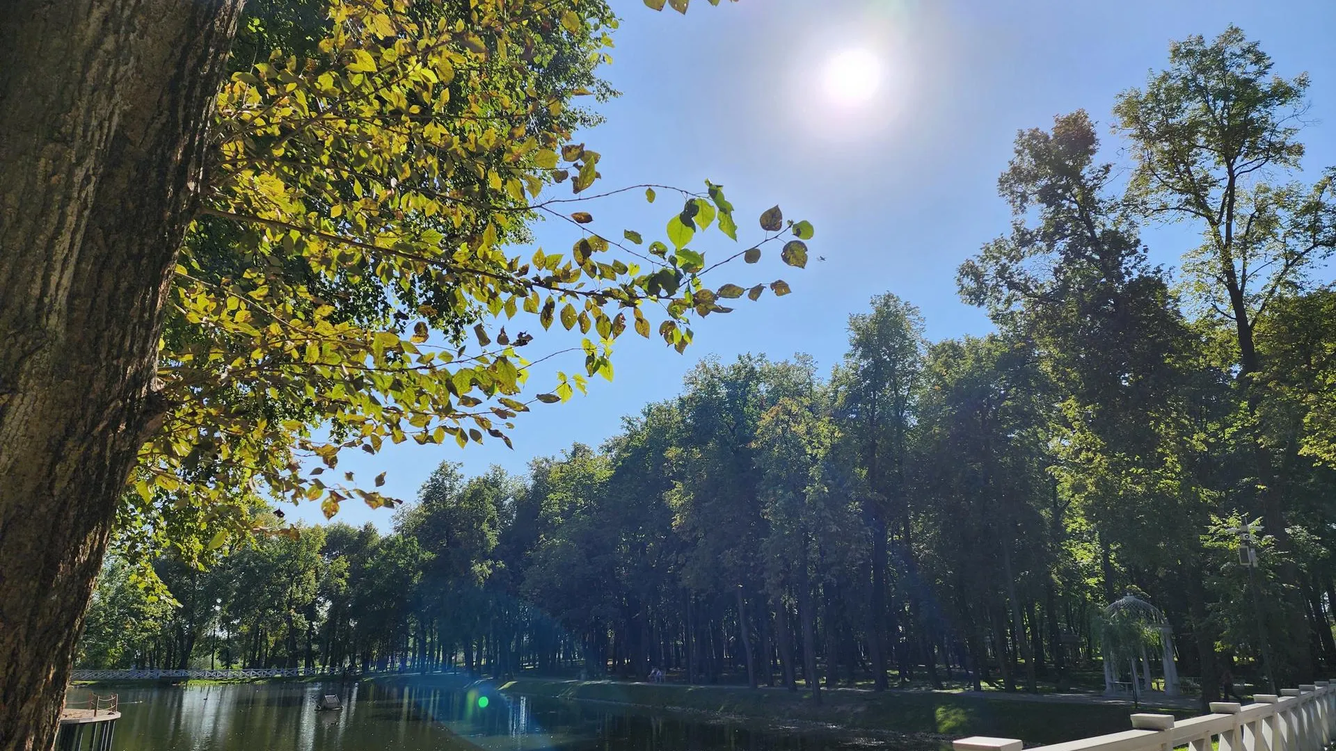 Светлана Плотникова