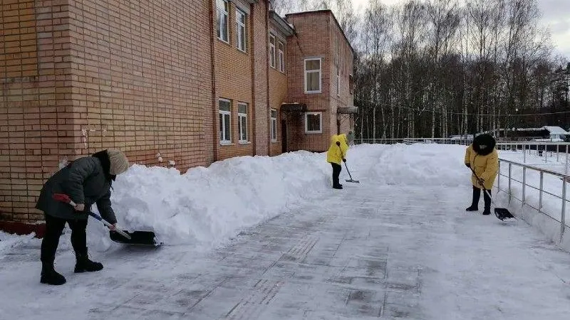 Культработники приняли участие в уборке снега в Богородском округе