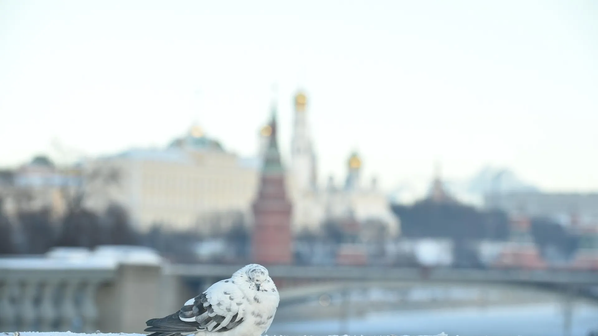 Морозная погода установится в Москве в предстоящие выходные
