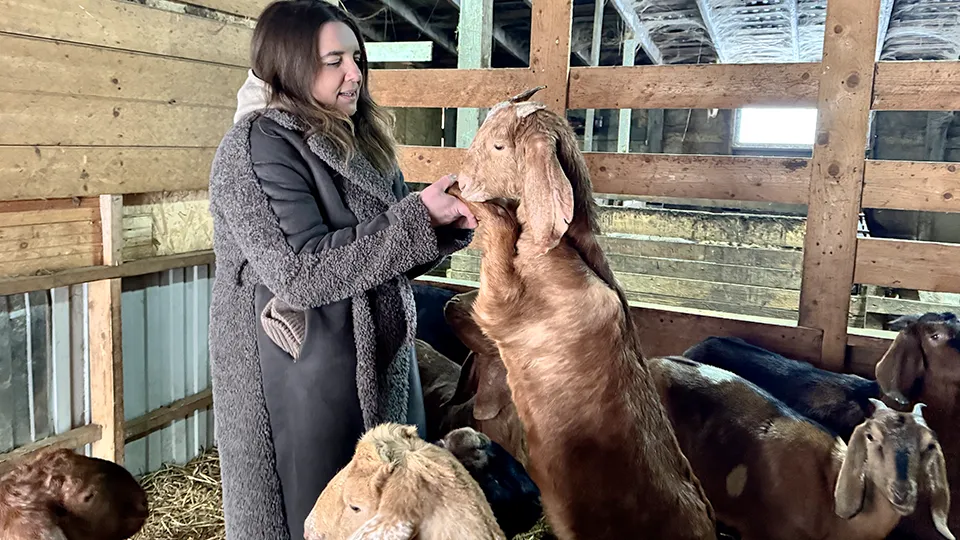 Фото: МедиаБанк Подмосковья/Татьяна Рунова