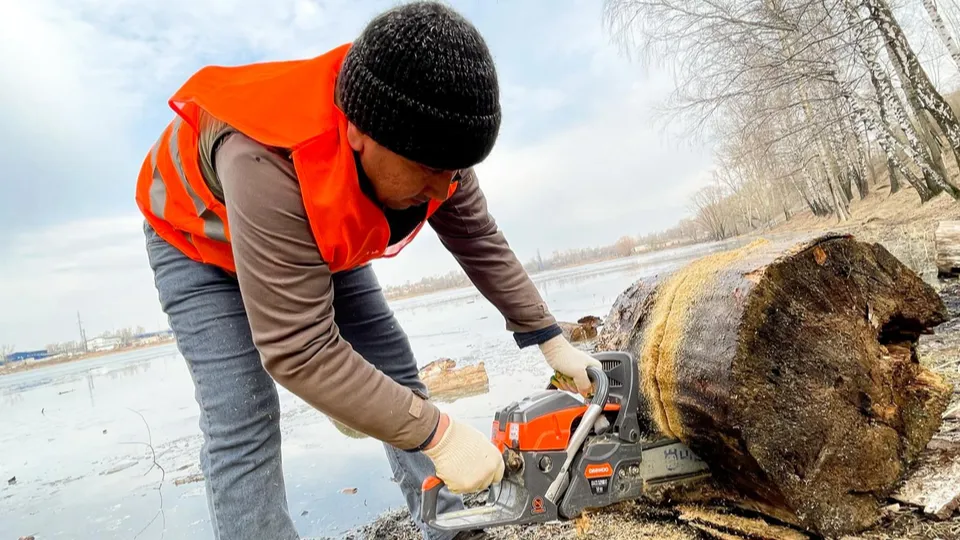 Фото: администрация городского округа Люберцы