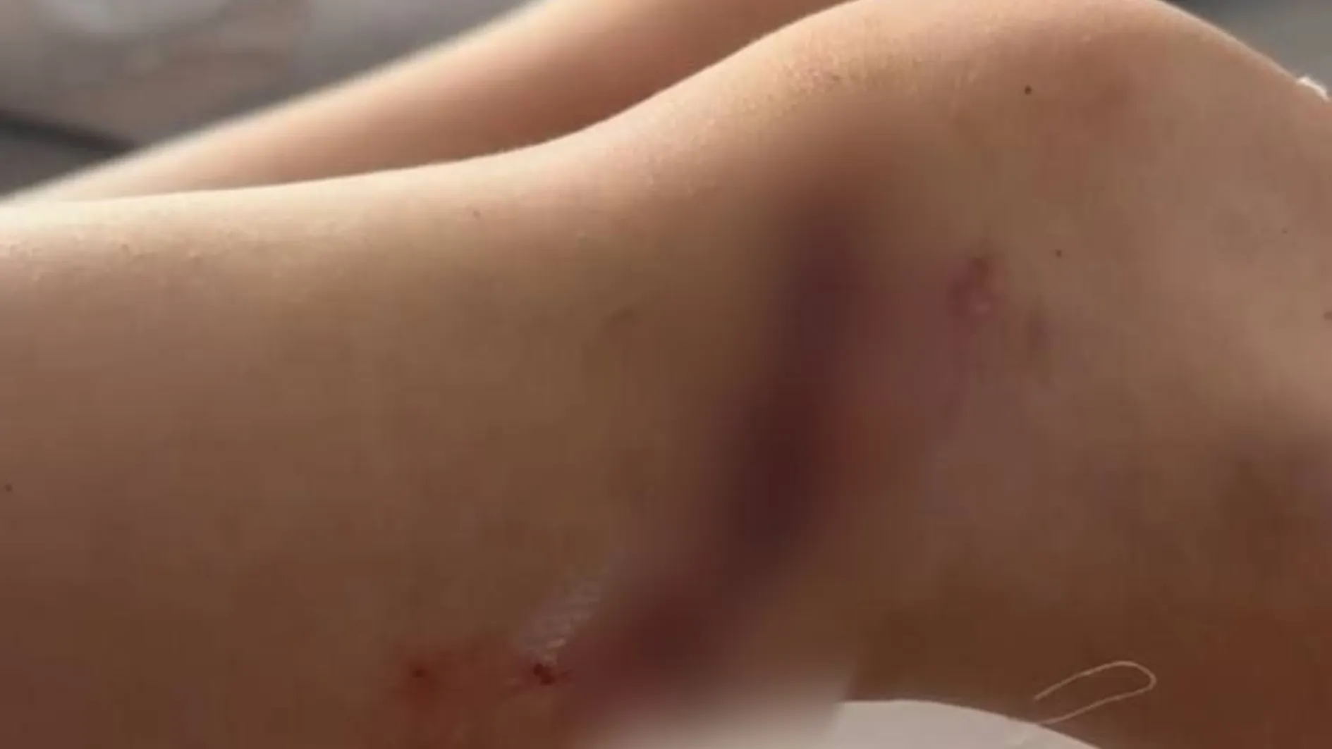 Фото: Денис Г.