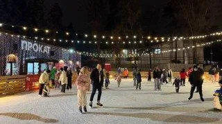 Более 6 млн жителей и гостей Подмосковья посетили парки и лесопарки за январь