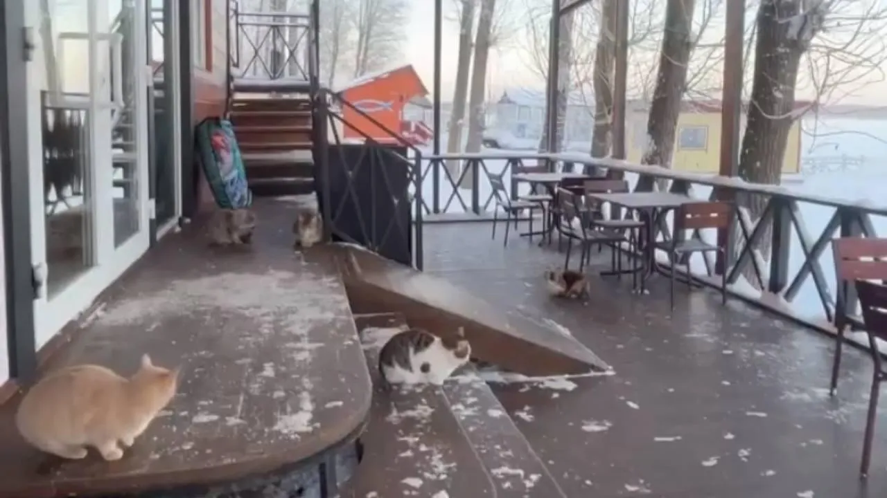 фото: соцсети