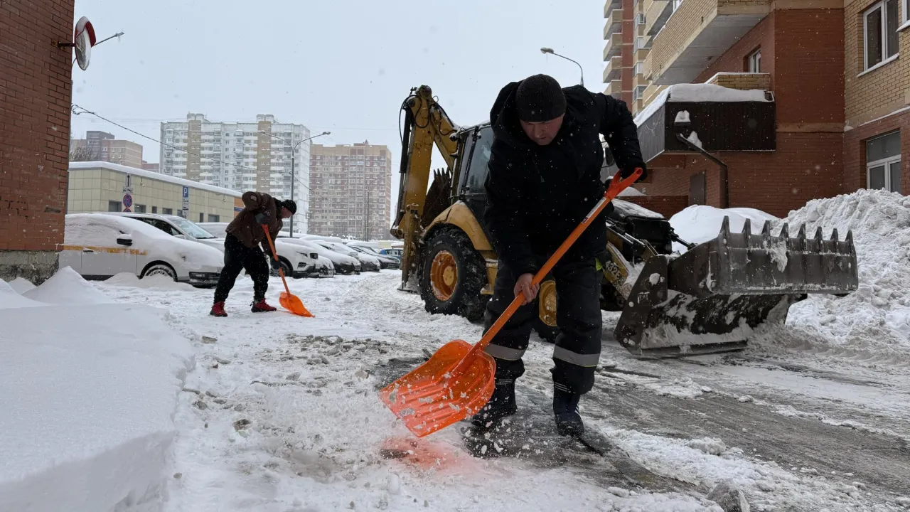 МедиаБанк Подмосковья/Анна Дука
