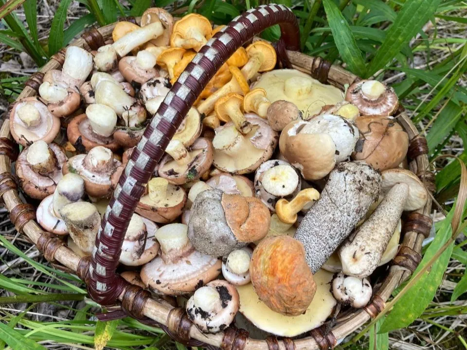 Фото: из архива Михаила Лапушкина