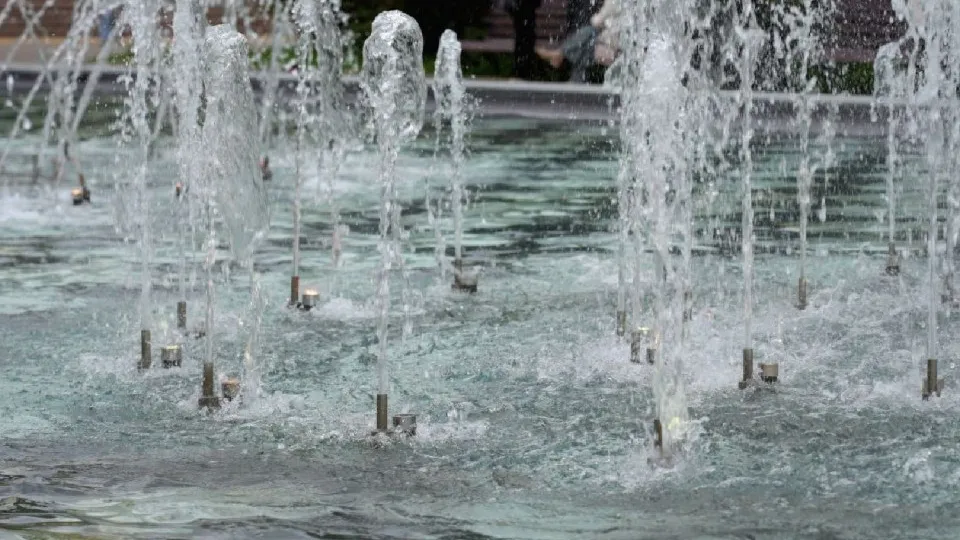 Фото: МедиаБанк Подмосковья/Дмитрий Зайчиков