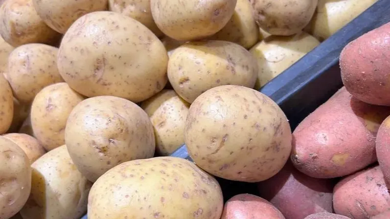 Фото: Министерство сельского хозяйства и продовольствия МО