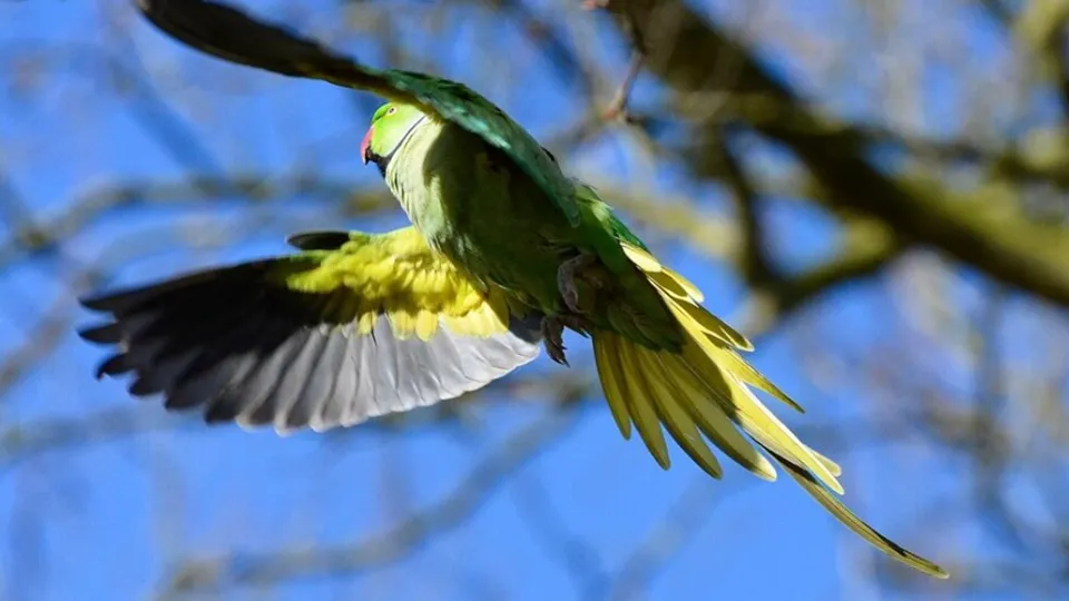 Фото: freepik.com