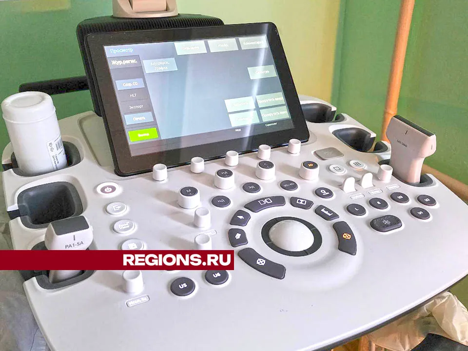 Фото: Валерия Тингаева