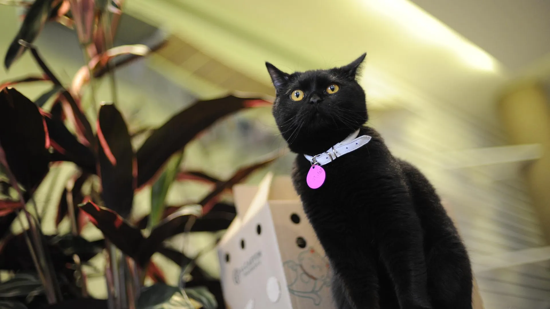 медиасток.рф