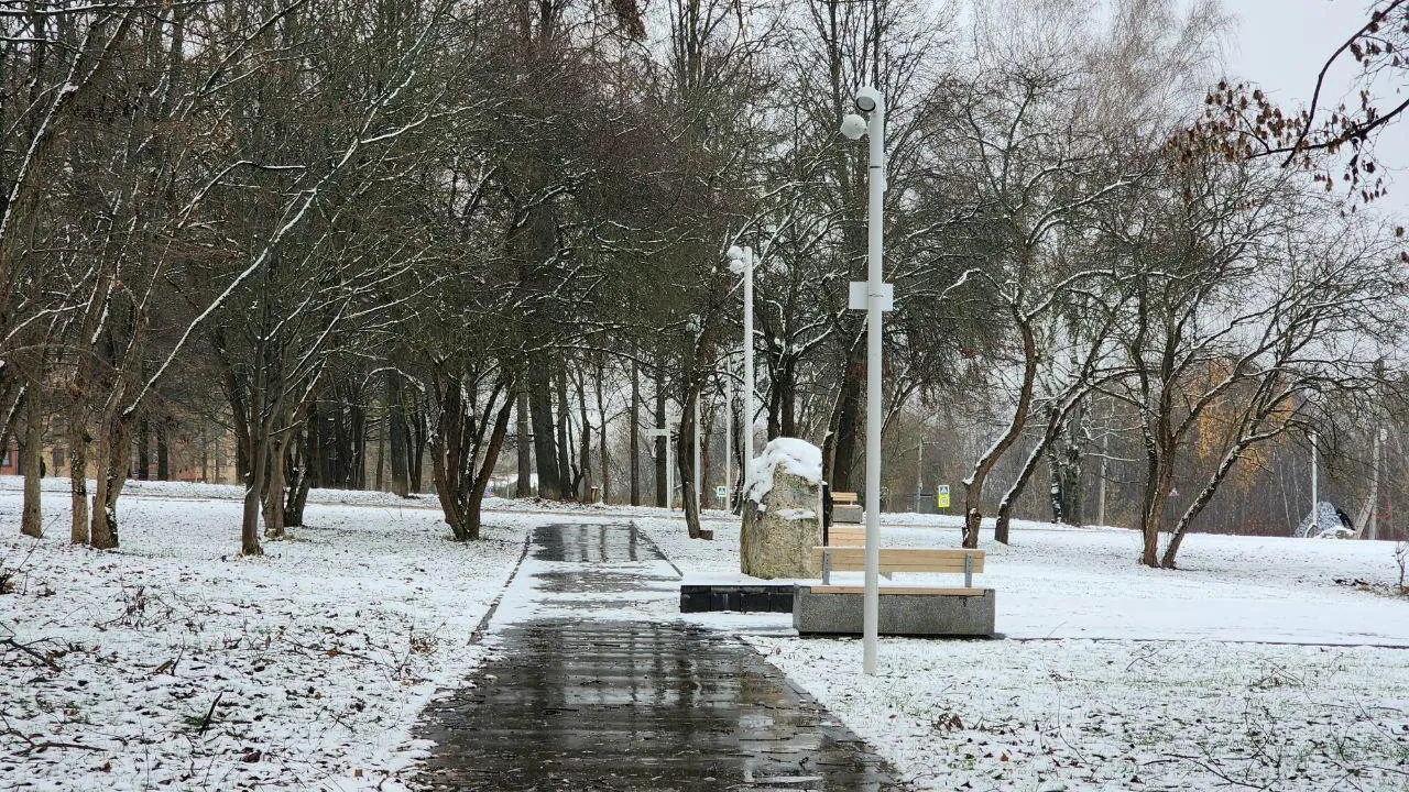 Фото: Мария Панина