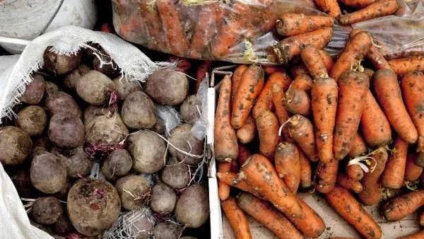 Дачникам разрешат торговать своими овощами и фруктами на рынках в МО