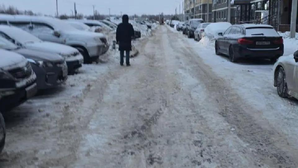 Фото: пресс-служба администрации г.о. Лосино-Петровский