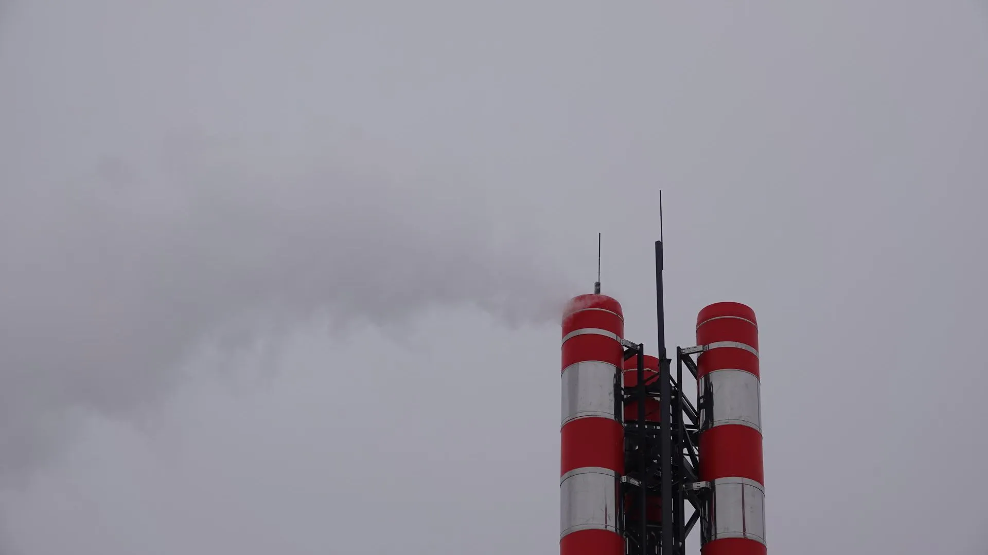 Дарья Леонова