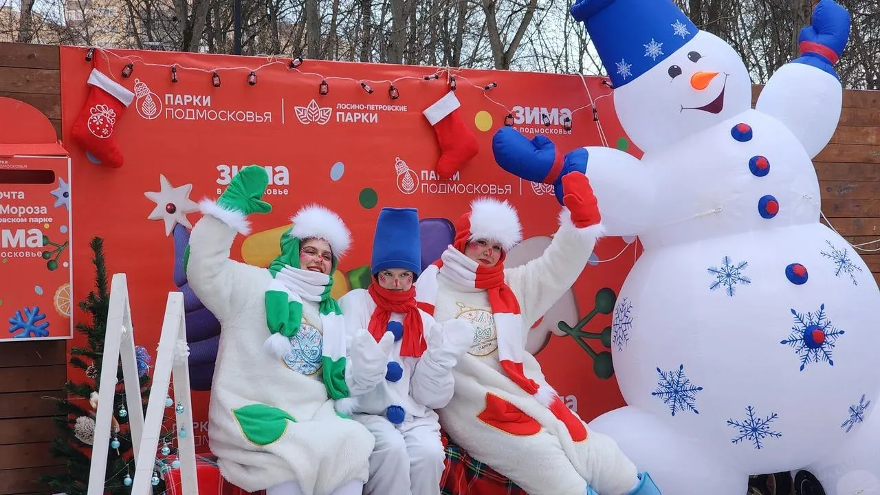 МедиаБанк Подмосковья/Валерия Тингаева