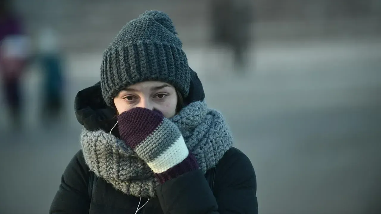 медиасток.рф