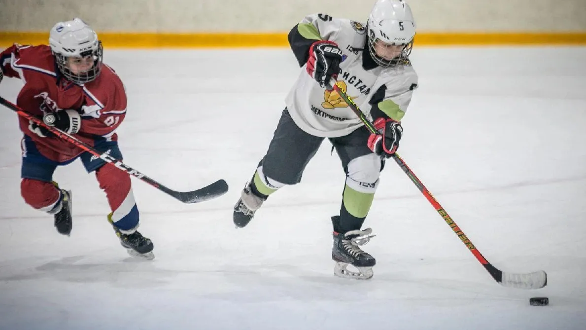 Источник фото: управление по физической культуре и спорту администрации г.о. Электросталь