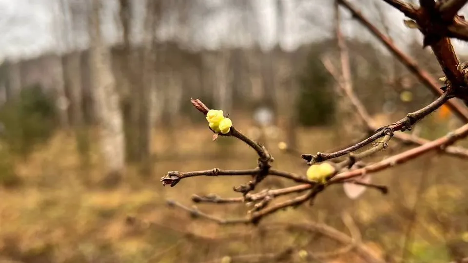 Фото: t.me/elk_island_national_park