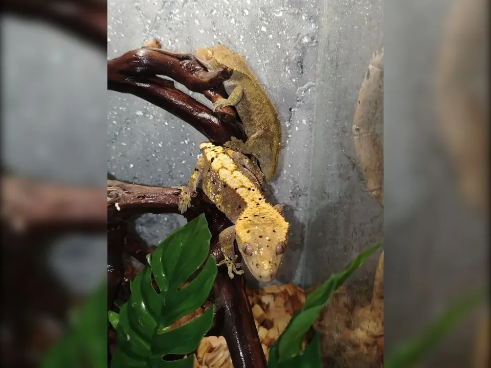 Фото: личный архив Юлианы Рыжковой