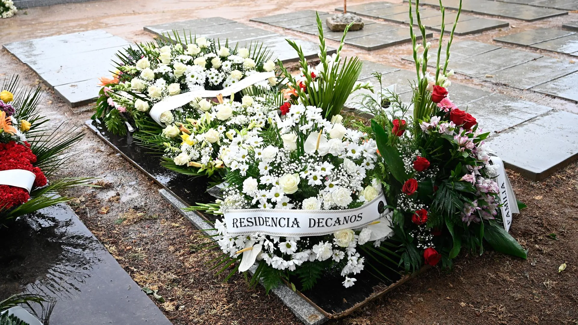 Francisco Guerra/Keystone Press Agency