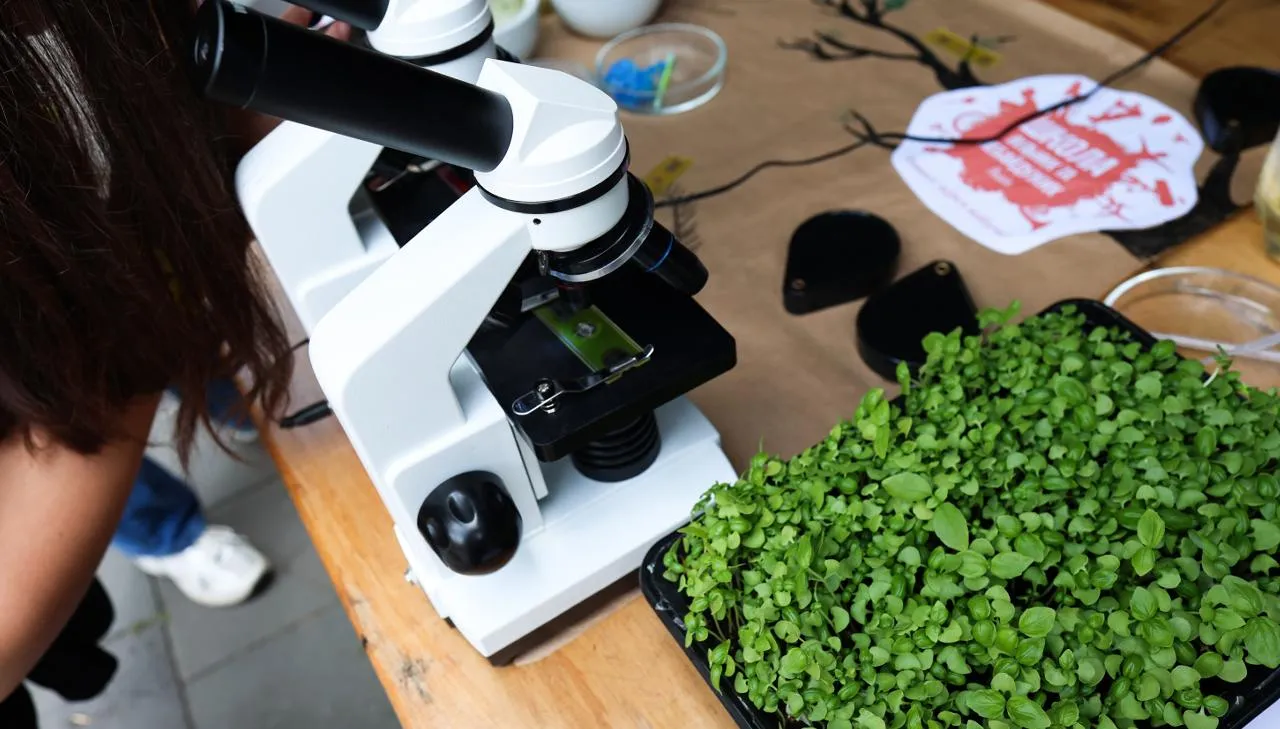 istockphoto.com/KNataliia