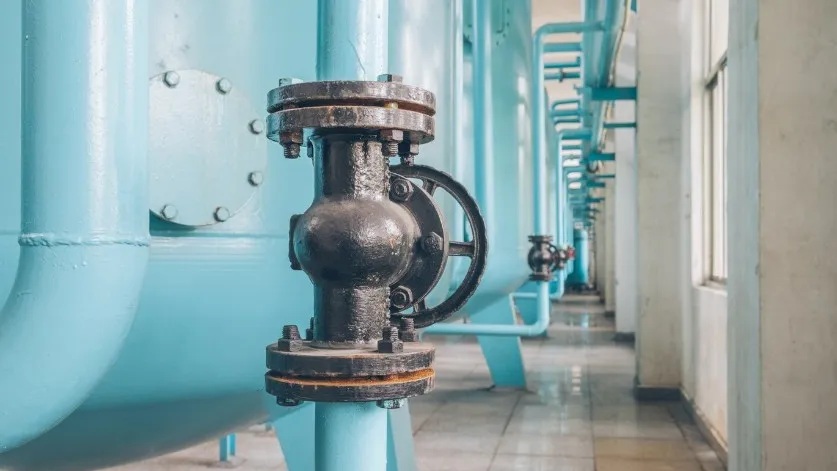 Фото: ru.freepik.com