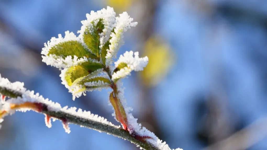 Источник: ru.freepik.com