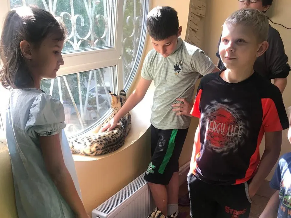 Фото: ГКУ СО МО «Люберецкий»&nbsp;