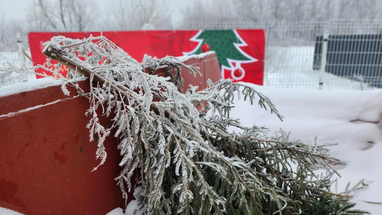 МедиаБанк Подмосковья/Валентина Максимова