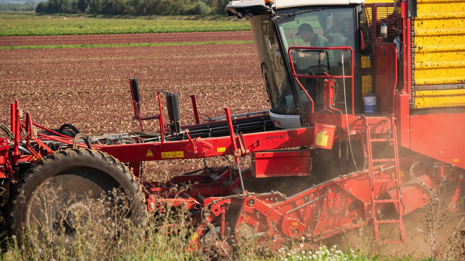 Фото: Министерство сельского хозяйства и продовольствия Московской области