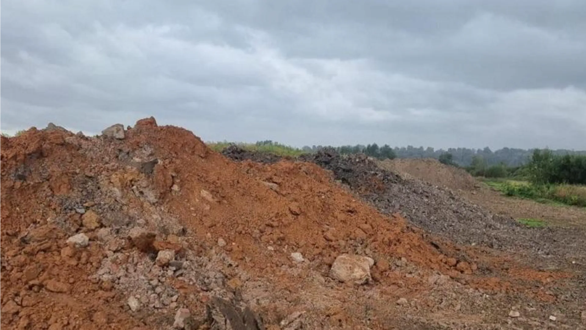 Фото: Министерство экологии и природопользования Московской области