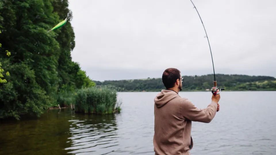 Фото: freepik.com