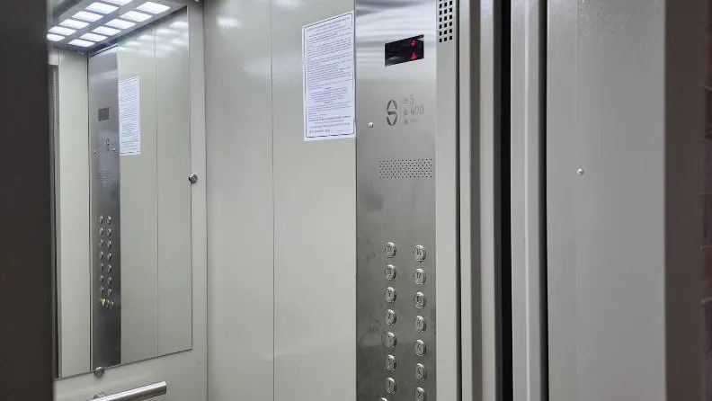 Фото: МедиаБанк Подмосковья/Роман Савельев