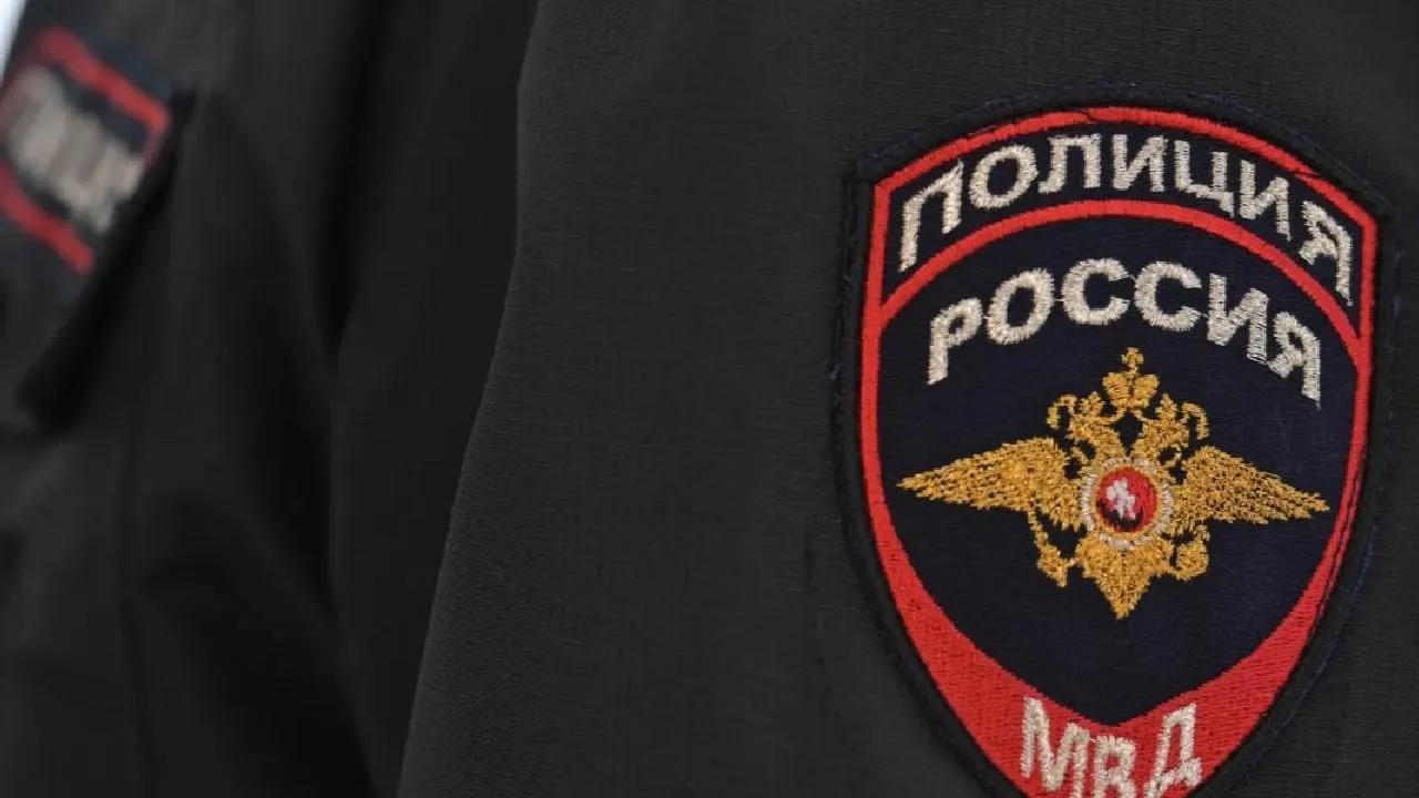 В Красноярске проверят информацию о травле ребенка из-за видео с тараканами в школе