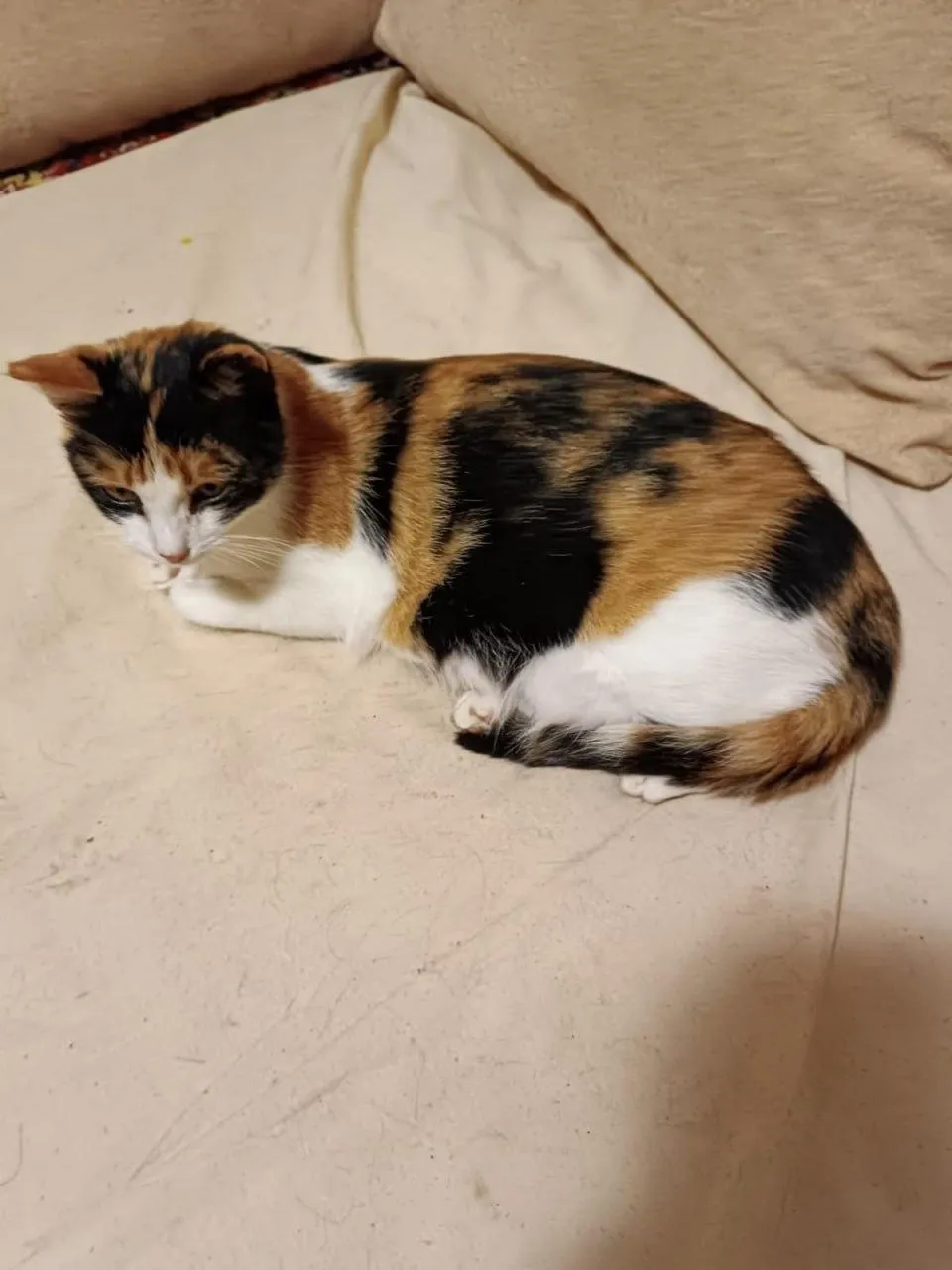 Фото: Социальные сети