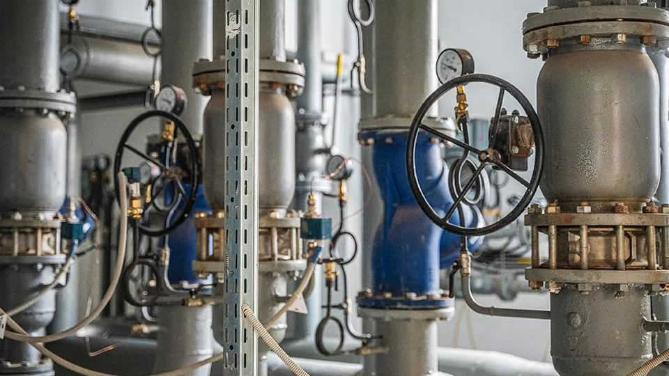 Фото: пресс-служба губернатора и правительства Московской области