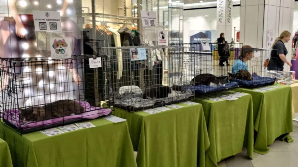 Фото: администрация г.о. Люберцы