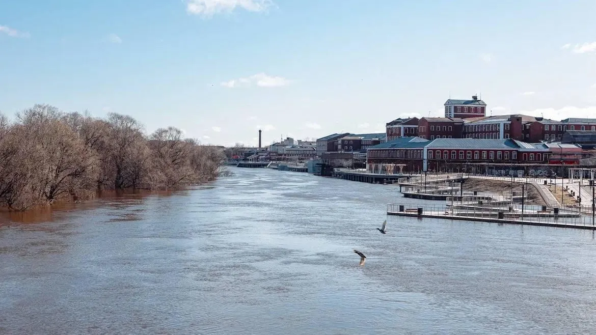 Медиа-центр Орехово-Зуевского городского округа