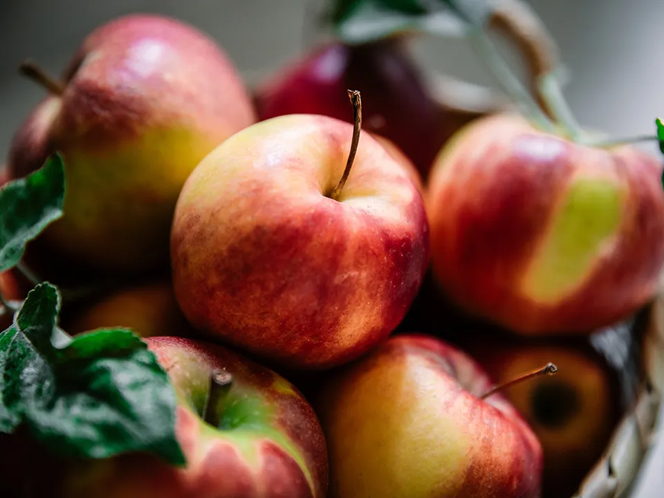 Фото: istockphoto.com