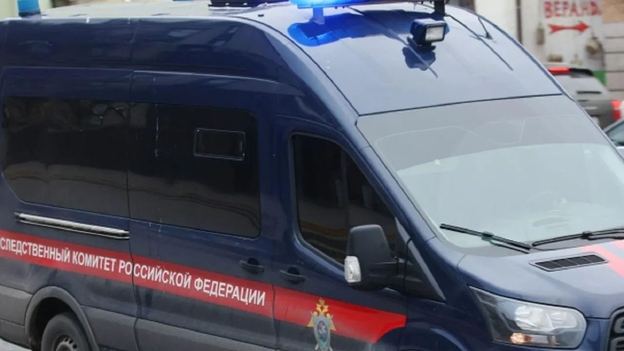 Житель Подмосковья задушил свою жену и спрятал ее тело в лесу