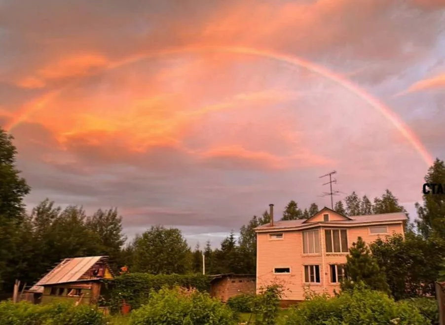 Фото: t.me/volokolamsk8