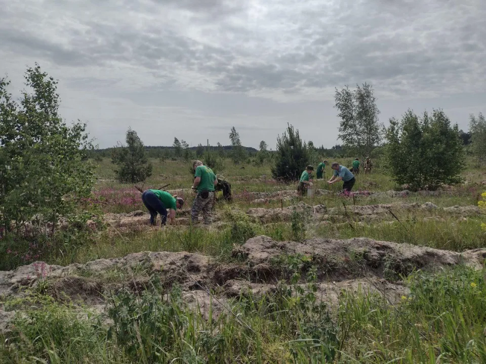 Фото: Комитет лесного хозяйства Московской области