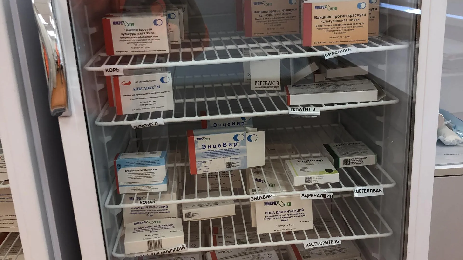 Дарья Савинова