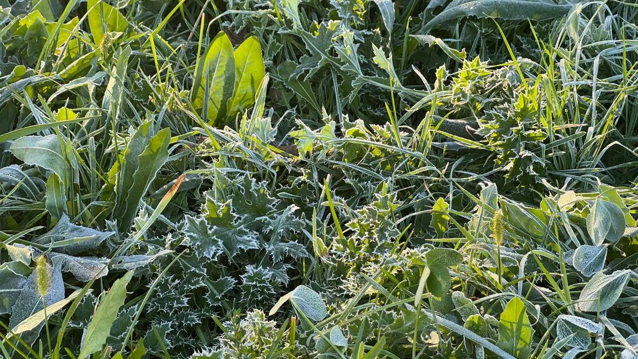 Фото: REGIONS/Евгения Макаренко