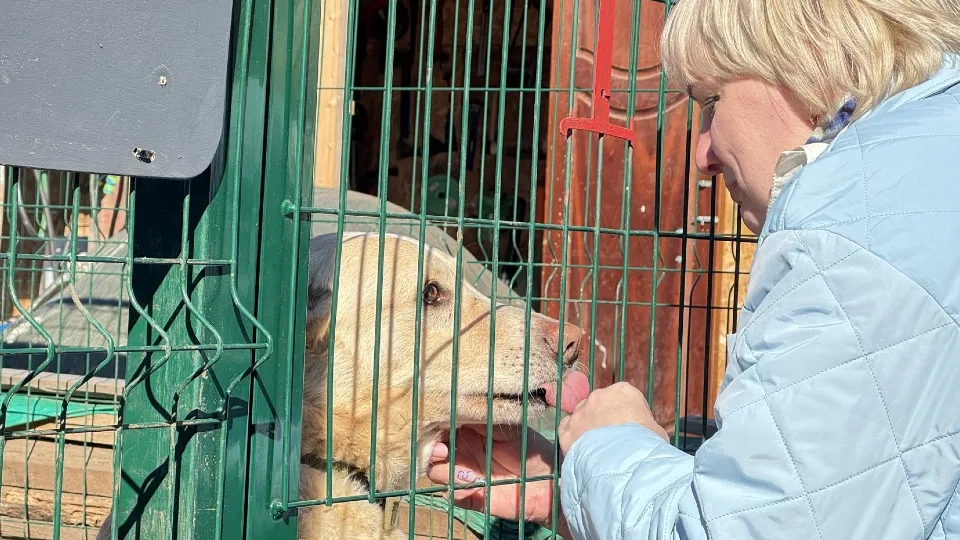 Фото: пресс-служба администрации г.о. Красногорск