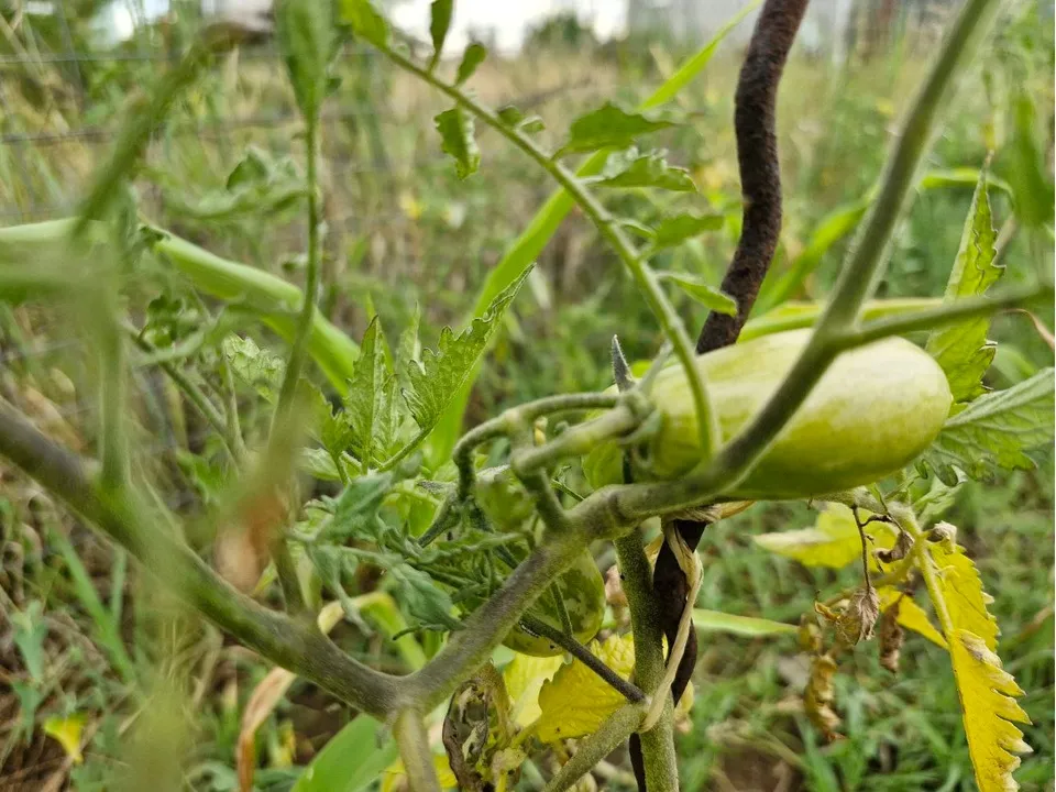 Фото: REGIONS/Наталия Надточая