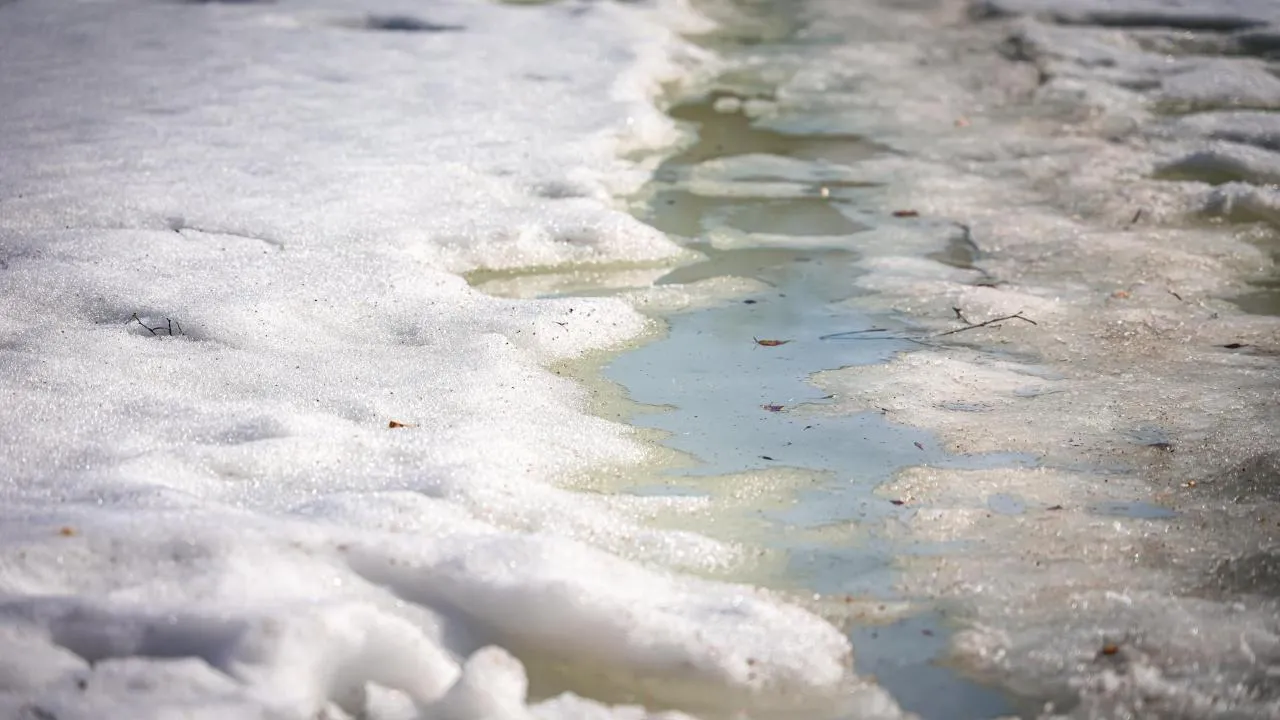 МедиаБанк Подмосковья/Данила Кирьянов